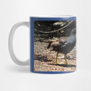 Common moorhen Mug